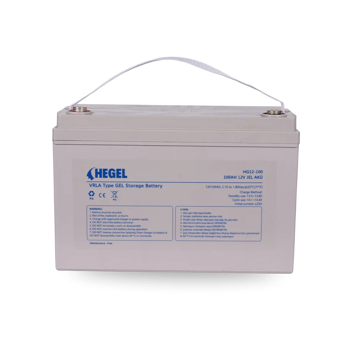 HG12-100-11 HEGEL 12V 100 Ah Jel Akü - Görsel 1
